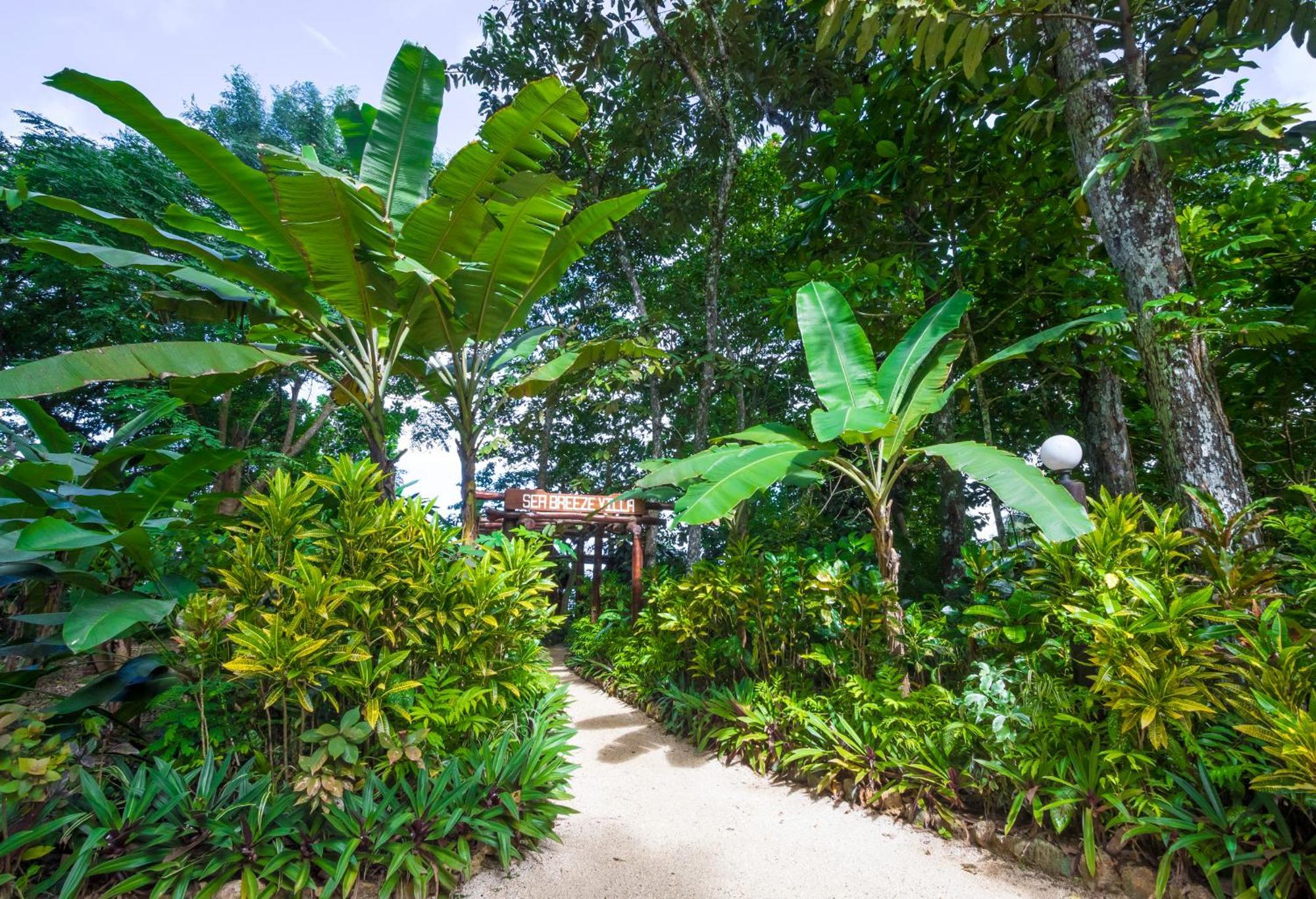 Savasi Island Resort Savusavu Quarto foto